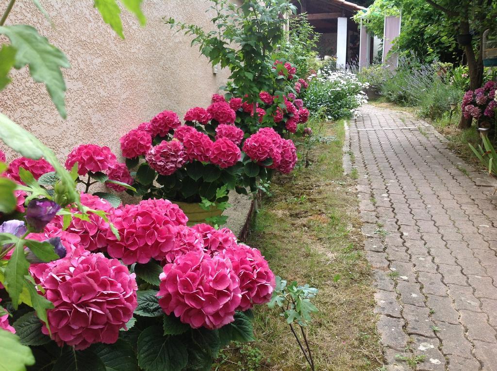 Bed & Breakfast Le Beausejour Carcassone Kültér fotó
